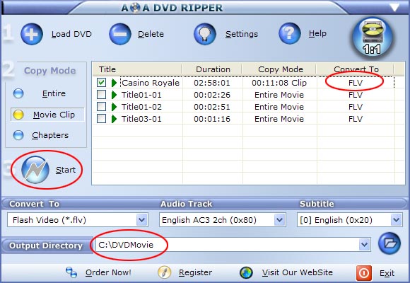 start dvd to flv, dvd to flash conversion